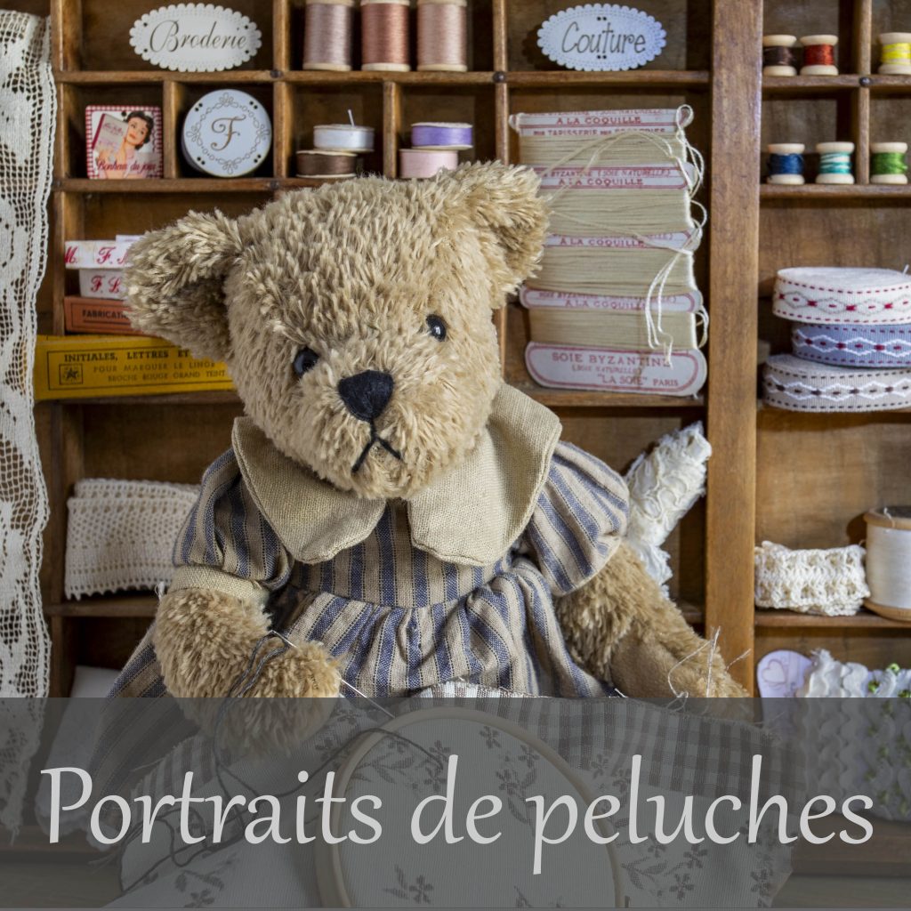 Galerie Portraits de peluches  Christophe Lefeuvre photographe