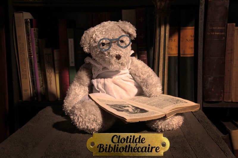 *Série métiers* Clothilde - Bibliothécaire